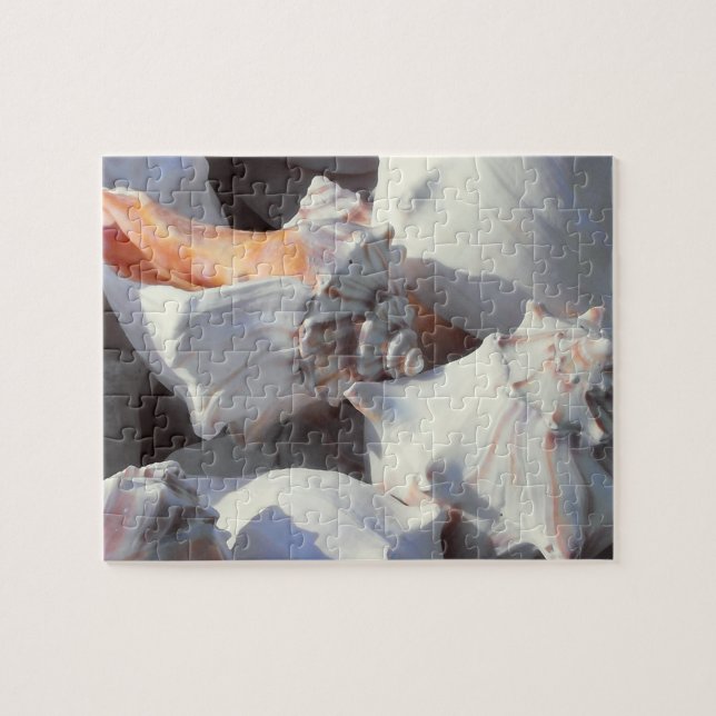 Sea Shells in sunlight and shadow Jigsaw Puzzle (Horizontal)