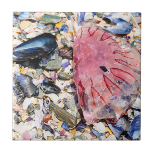 Sea Shells Jellyfish Ocean Beach View Tile