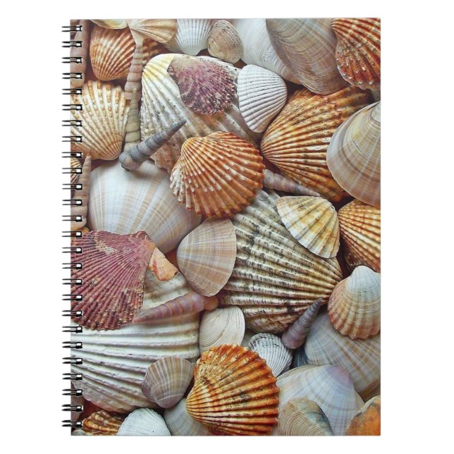 Sea Shells Notebook (Front)
