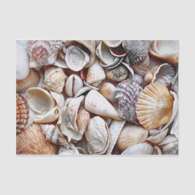 Sea Shells Ocean Beach Beautiful Decoupage Tissue Paper (Front)