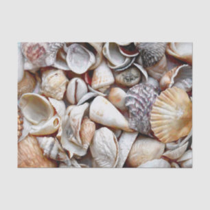 Sea Shells Ocean Beach Beautiful Decoupage Tissue Paper