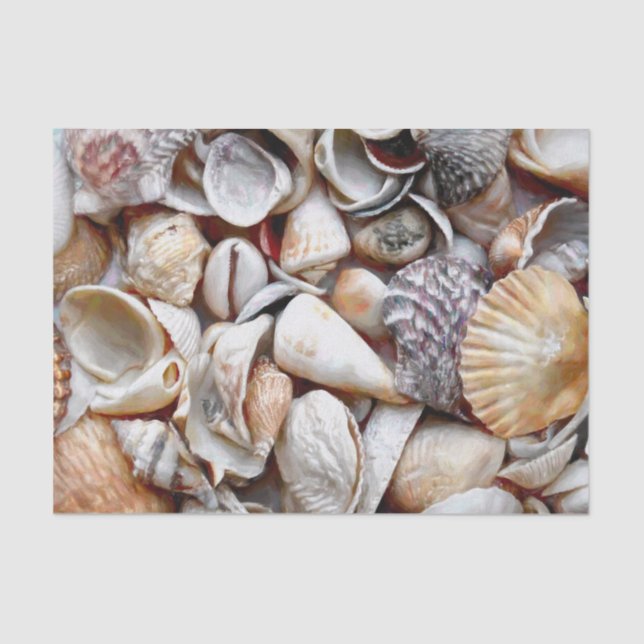 Sea Shells Ocean Beach Beautiful Decoupage Tissue Paper (Front)