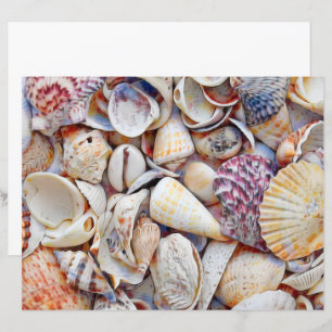 Sea Shells Ocean Beach Watercolor Decoupage