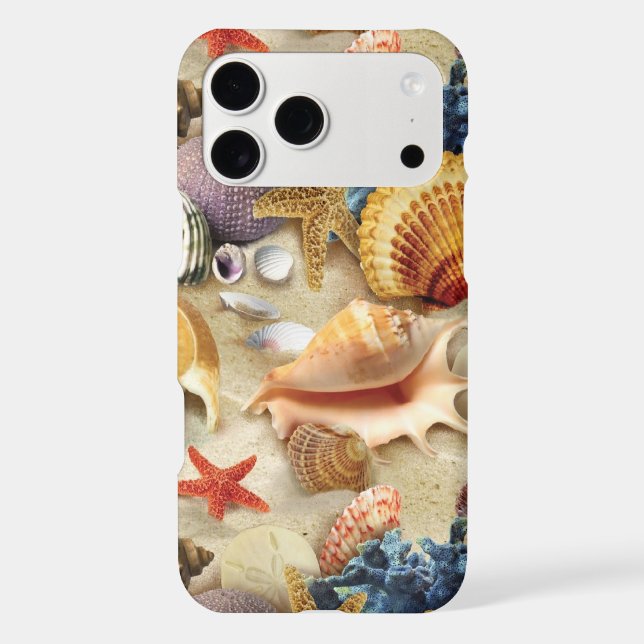 Sea shells on beach (Back)