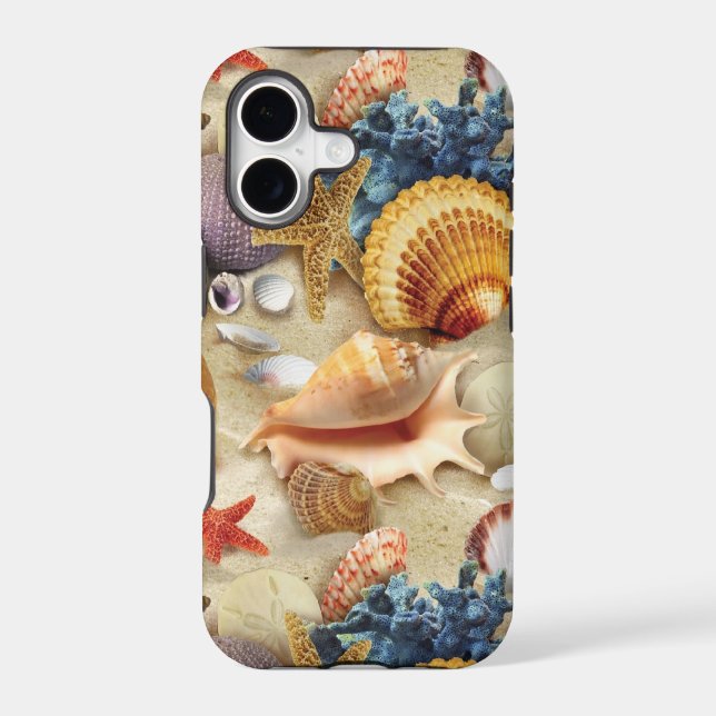 Sea shells on beach (Back)
