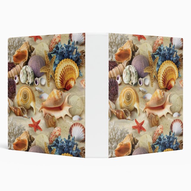 Sea shells on beach binder (Background)