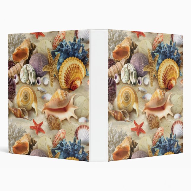 Sea shells on beach binder (Background)