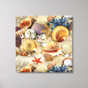 Sea shells on beach canvas print