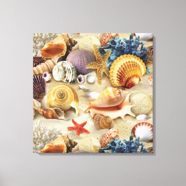 Sea shells on beach canvas print (Front)