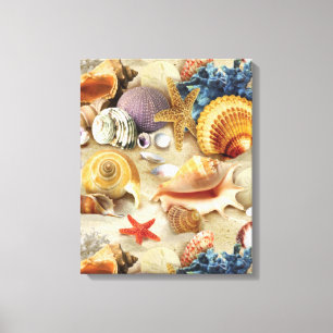 Sea shells on beach canvas print