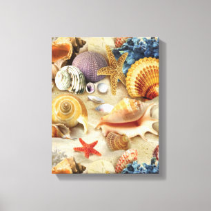 Sea shells on beach canvas print