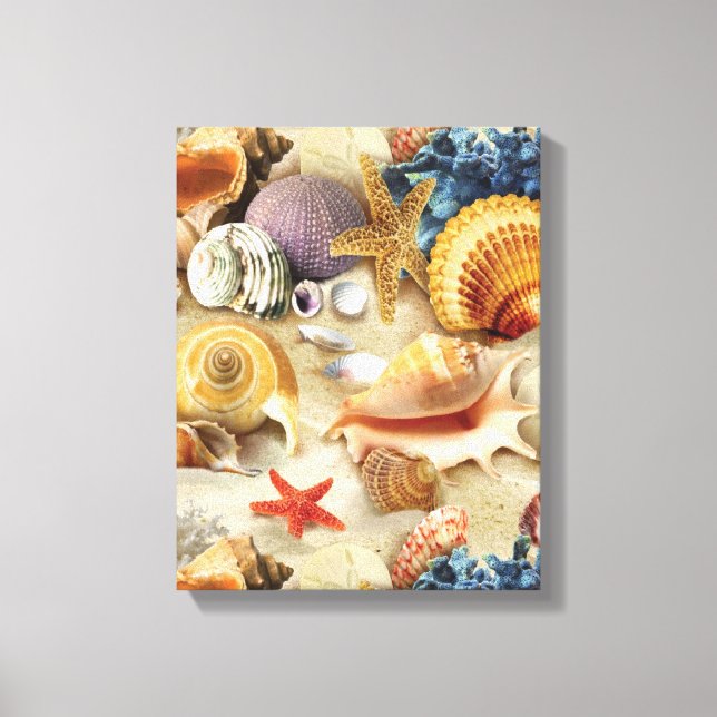 Sea shells on beach canvas print (Front)