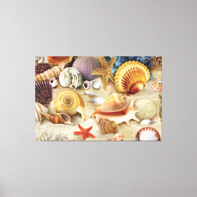 Sea shells on beach canvas print (Front)