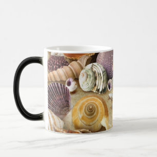 Sea shells on beach magic mug
