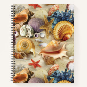 Sea shells on beach notebook