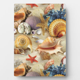 Sea shells on beach plaque