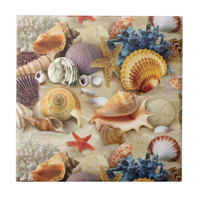 Sea shells on beach tile (Front)