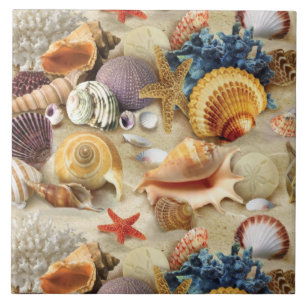 Sea shells on beach tile