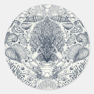 Sea shells on  dark blue classic round sticker