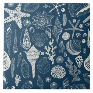 Sea shells on  dark blue tile