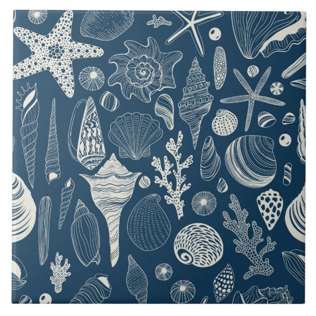 Sea shells on  dark blue tile (Front)