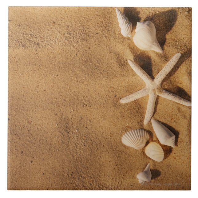 Sea shells on sand tile (Front)