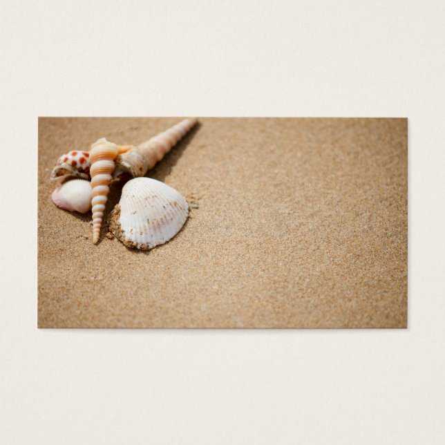 Sea shells on the beach (Front)