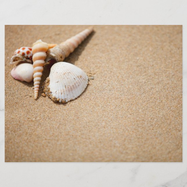 Sea shells on the beach flyer (Front)