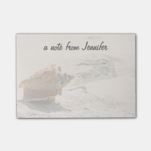 Sea Shells On The Beach Post-it Notes