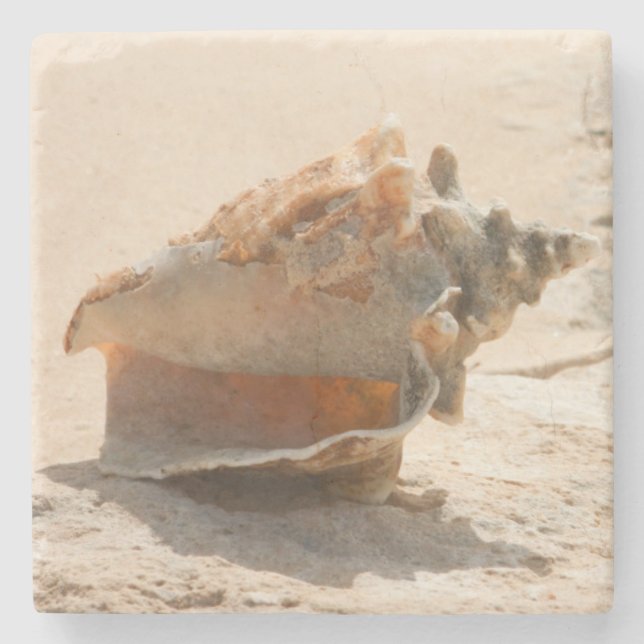 Sea Shells On The Beach Stone Coaster (Front)