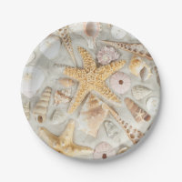 Sea Shells
