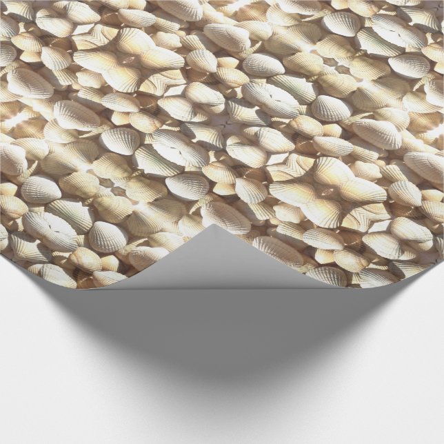 Sea Shells Pattern Summer Natural Shades of Brown Wrapping Paper (Corner)