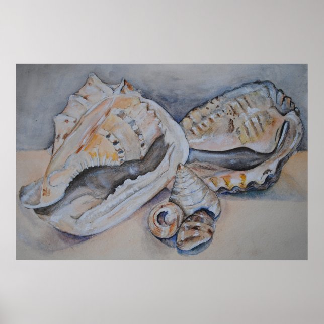 Sea Shells Print (Front)