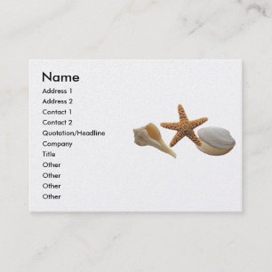 Sea Shells Profile Card