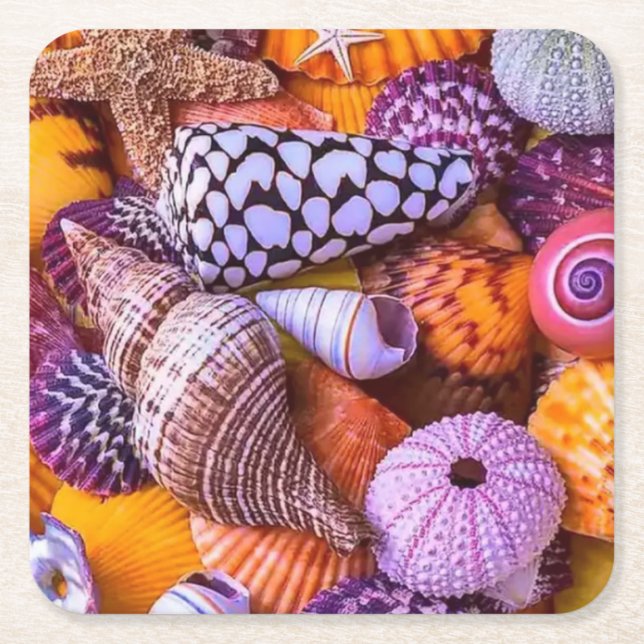 Sea Shells Square Paper Coaster (Front)
