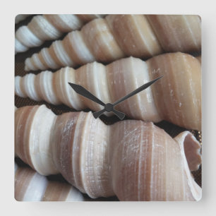 Sea Shells, Summer Beach Exotic Tropical Clock