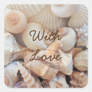 Sea Shells, Summer Beach Exotic Tropical Romantic Square Sticker
