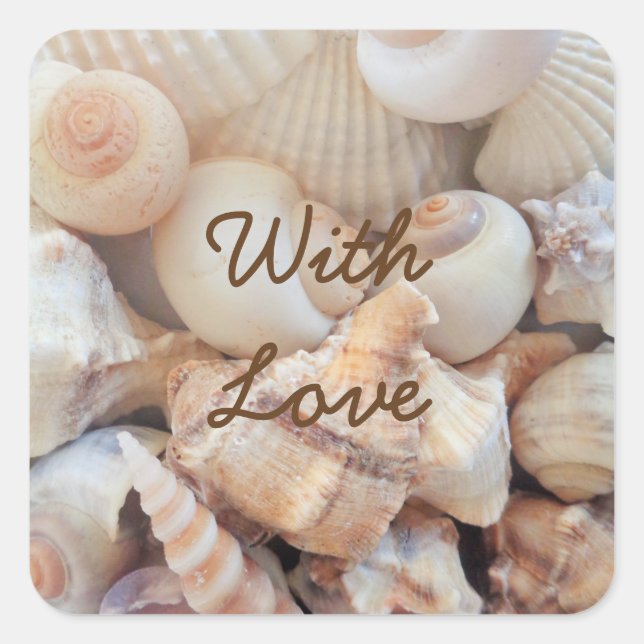 Sea Shells, Summer Beach Exotic Tropical Romantic Square Sticker (Front)