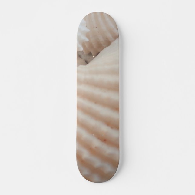 Sea Shells Summer Beach Exotic Tropical Skateboard (Front)