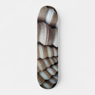 Sea Shells Summer Beach Exotic Tropical Skateboard