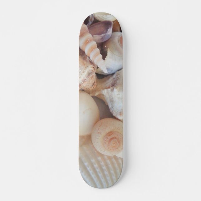 Sea Shells Summer Beach Exotic Tropical Skateboard (Front)