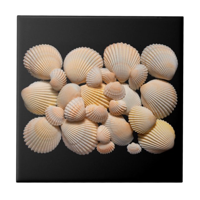 Sea Shells Tile (Front)