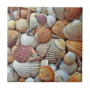 Sea Shells Tile