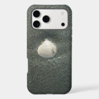 Sea shore shells Hakuna Matata.JPG