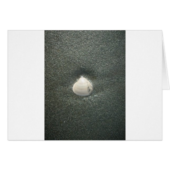 Sea shore shells Hakuna Matata.JPG (Front Horizontal)