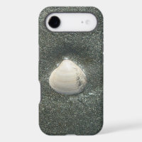 Sea shore shells Hakuna Matata.JPG