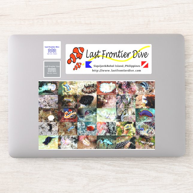 【Sea Slug】Put on Your Diving Log Book! (Computer)