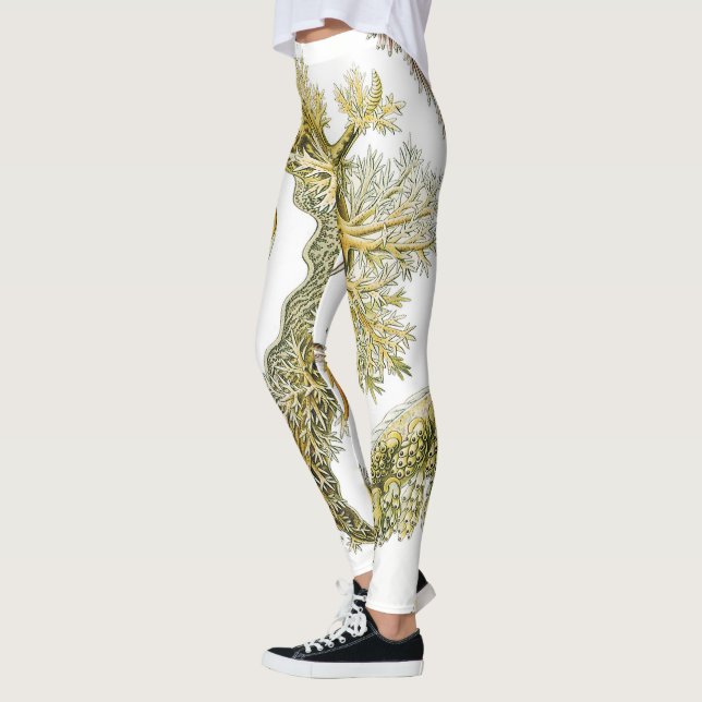 Sea Slugs by Ernst Haeckel, Vintage Nudibranchia Leggings (Left)