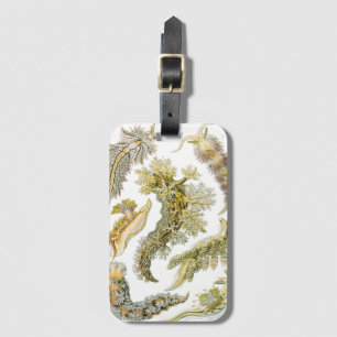 Sea Slugs by Ernst Haeckel, Vintage Nudibranchia Luggage Tag