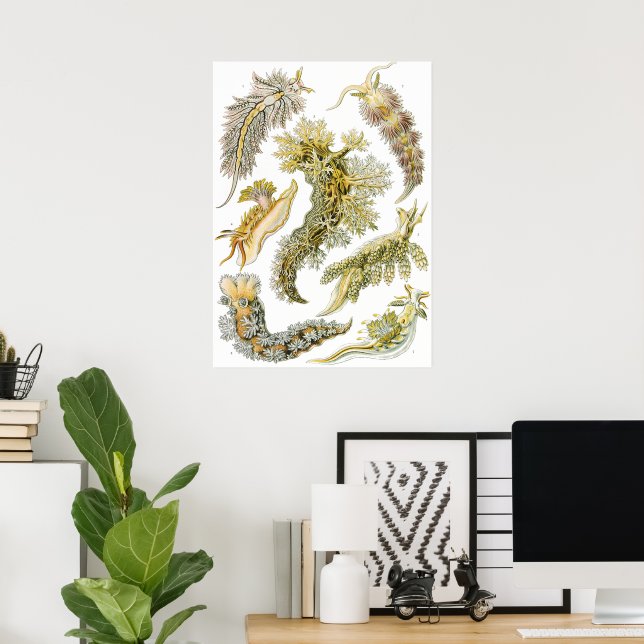 Sea Slugs by Ernst Haeckel, Vintage Nudibranchia Poster (Home Office)